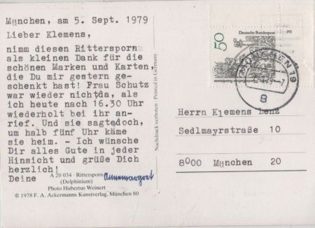 Rittersporn blühend Rittersporn blühend