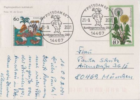 Paphiopedlilum sukhakulii Sonderstempel Paphiopedlilum sukhakulii Sonderstempel