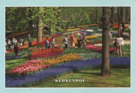 Holland - Niederlande - Keukenhof Holland - Niederlande - Keukenhof