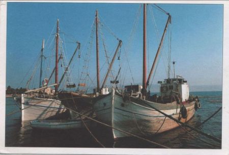 Boote im Hafen Boote im Hafen