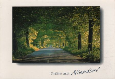 Timmendorfer Strand-Niendorf - Straße Timmendorfer Strand-Niendorf - Straße