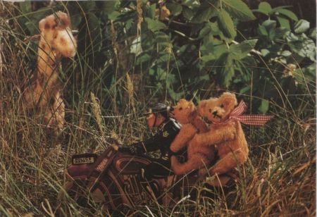 Teddybären auf Wiese Teddybären auf Wiese