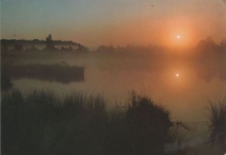 See im Nebel See im Nebel
