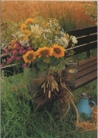 Sonnenblumen im Eimer Sonnenblumen im Eimer