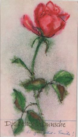 Die besten Wünsche Rose Die besten Wünsche Rose