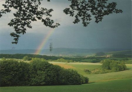 Regenbogen in Grünen Regenbogen in Grünen