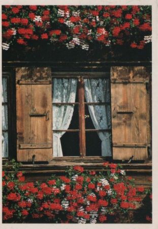 Fenster blumenumrankt Fenster blumenumrankt
