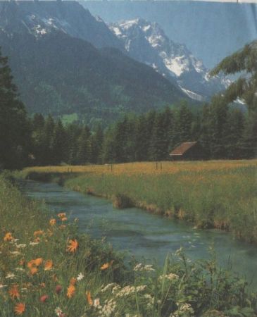 Bach im Gebirge Bach im Gebirge
