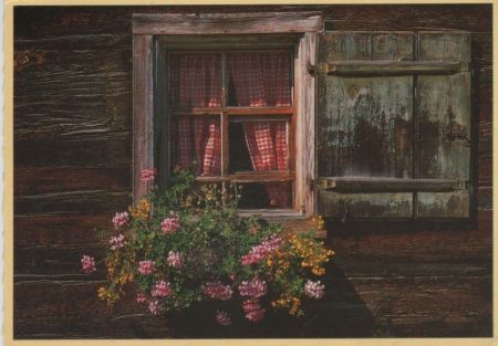 Fenster mit Blumen Fenster mit Blumen