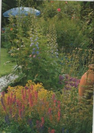 Wildblumen im Garten Wildblumen im Garten