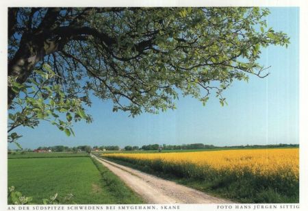 Skane - Schweden - bei Smygehamn Skane - Schweden - bei Smygehamn