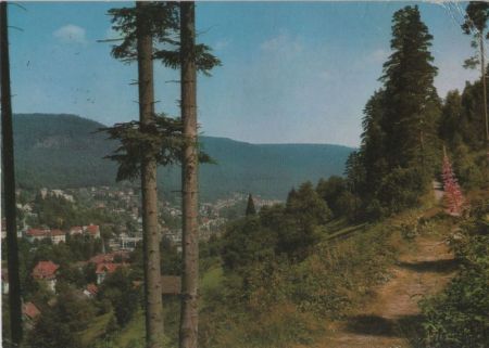 Bad Wildbad - Ansicht Bad Wildbad - Ansicht