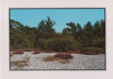 Rügen - Landschaft Rügen - Landschaft