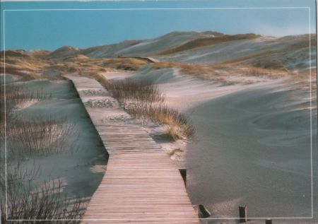 Steg im Sand Steg im Sand