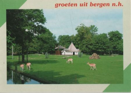 Bergen Aan Zee - Niederlande - weidende Tiere Bergen Aan Zee - Niederlande - weidende Tiere
