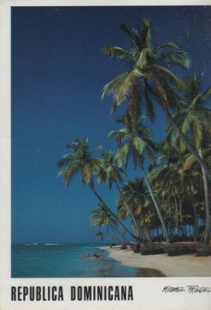 Allgemein - Dominikanische Republik - Palmen am Strand - Samana Allgemein - Dominikanische Republik - Palmen am Strand - Samana