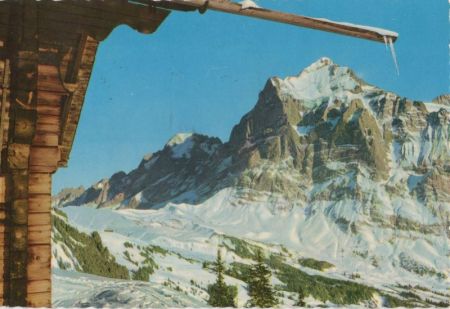 Grindelwald - Schweiz - Große Scheidegg Grindelwald - Schweiz - Große Scheidegg