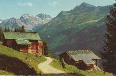 Davos - Schweiz - Clavadeler-Alp Davos - Schweiz - Clavadeler-Alp