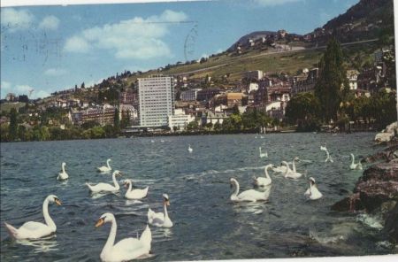 Montreux - Schweiz - La baie Montreux - Schweiz - La baie