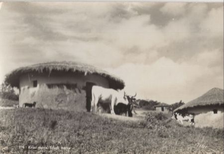 Südafrika - Südafrika - Kraal scene Südafrika - Südafrika - Kraal scene
