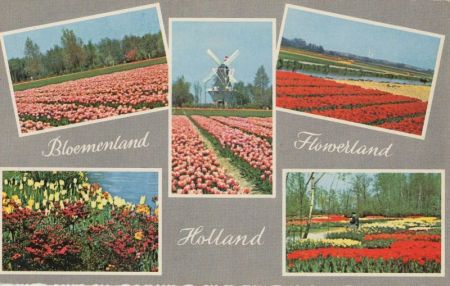 Holland - Niederlande - Bloemenland Holland - Niederlande - Bloemenland