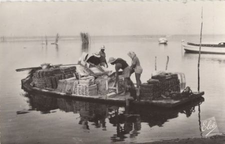 Bassin d’Arcachon - Frankreich - Travaux Ostreicoles Bassin d’Arcachon - Frankreich - Travaux Ostreicoles