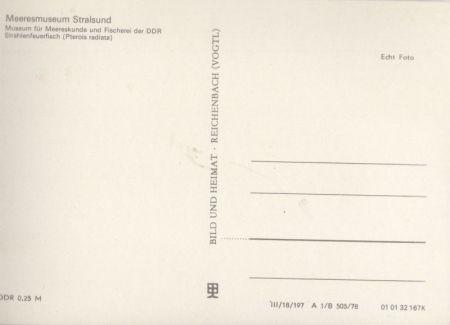 Stralsund - Meeresmuseum, Strahlenfeuerfisch Stralsund - Meeresmuseum, Strahlenfeuerfisch