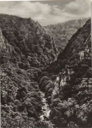 Thale - Blick vom Bodetor Thale - Blick vom Bodetor