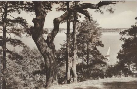 Schwielochsee-Goyatz - Kleiner Schwielochsee Schwielochsee-Goyatz - Kleiner Schwielochsee