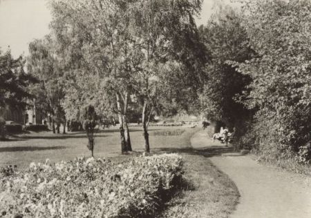 Saalfeld - Dürerpark Saalfeld - Dürerpark