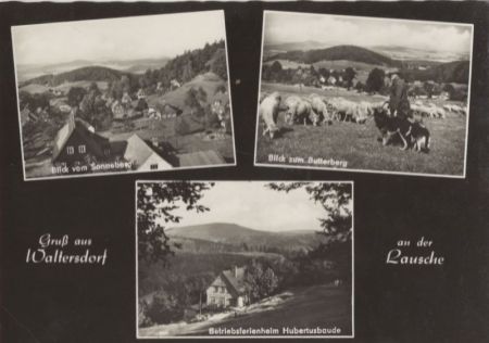 Waltersdorf, Lausche (OT von Großschönau) - 3 Bilder Waltersdorf, Lausche (OT von Großschönau) - 3 Bilder
