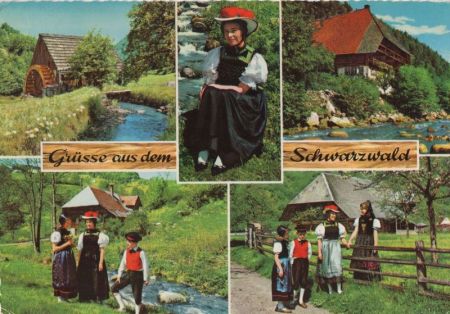 Schwarzwald - 5 Bilder Schwarzwald - 5 Bilder