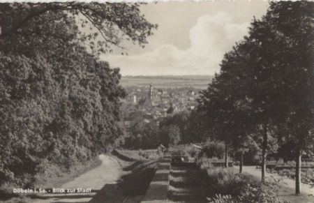 Döbeln - Blick zur Stadt Döbeln - Blick zur Stadt