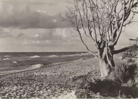 Graal-Müritz - Strand bei Stolper Ort Graal-Müritz - Strand bei Stolper Ort