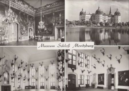 Moritzburg bei Dresden - Schloss Moritzburg bei Dresden - Schloss
