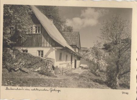 Schlesien (Sonstiges) - Bauernhaus im Gebirge Schlesien (Sonstiges) - Bauernhaus im Gebirge