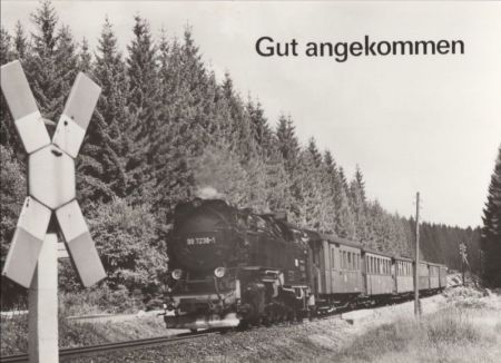 Damoflok - Gut angekommen Damoflok - Gut angekommen