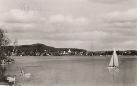 Wörthsee - sonniger Tag Wörthsee - sonniger Tag