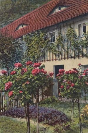 Haus blumenreich Haus blumenreich