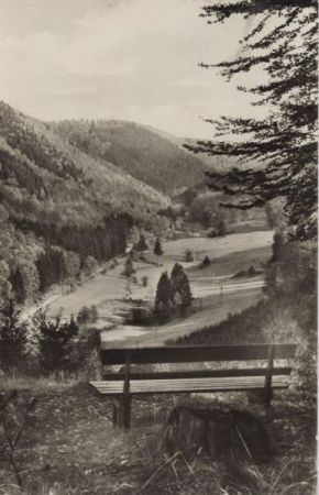 Ilsfeld-Netzkater - Brandesbachtal Ilsfeld-Netzkater - Brandesbachtal