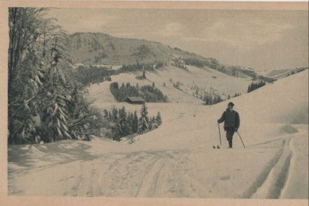 Oberstaufen - Weg zm Falken Oberstaufen - Weg zm Falken