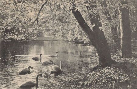 Meiningen - Englischer Garten Meiningen - Englischer Garten