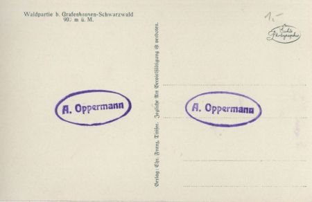 Grafenhausen - waldpartie Grafenhausen - waldpartie
