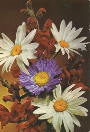 Geburtstagsgrüße Blumen Geburtstagsgrüße Blumen