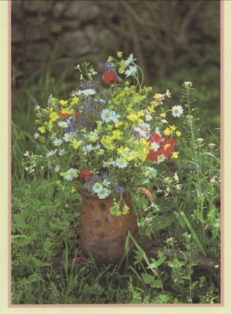 Blumen im Krug Blumen im Krug