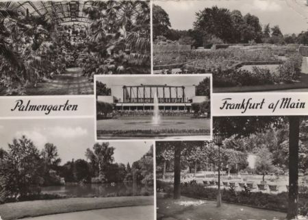 Frankfurter Allee (Berlin) - Palmengarten Frankfurter Allee (Berlin) - Palmengarten