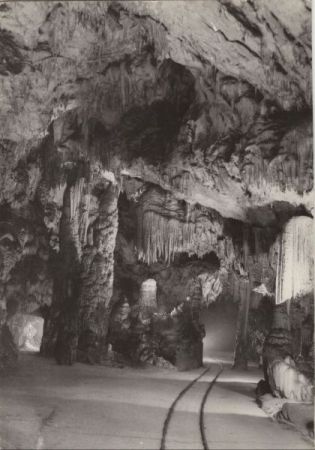 Postojnska Jama - Slowenien - Höhle Postojnska Jama - Slowenien - Höhle