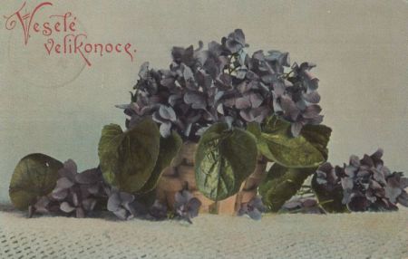 Vesele Velikonoce Vesele Velikonoce