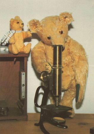 Teddy mit Mikroskop Teddy mit Mikroskop