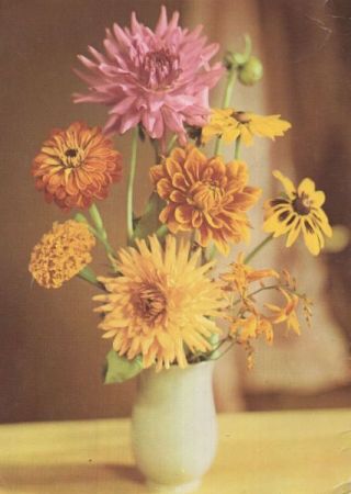 Blumen in Vase Blumen in Vase